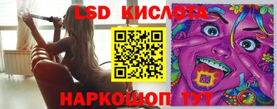 шишки Изобильный