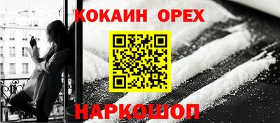 шишки Изобильный
