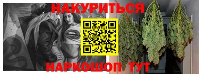 шишки Изобильный