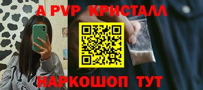 шишки Изобильный