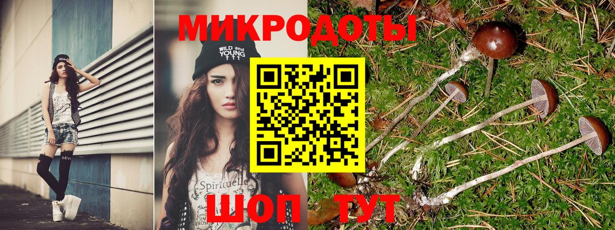 Псилоцибиновые грибы Cubensis Кропоткин