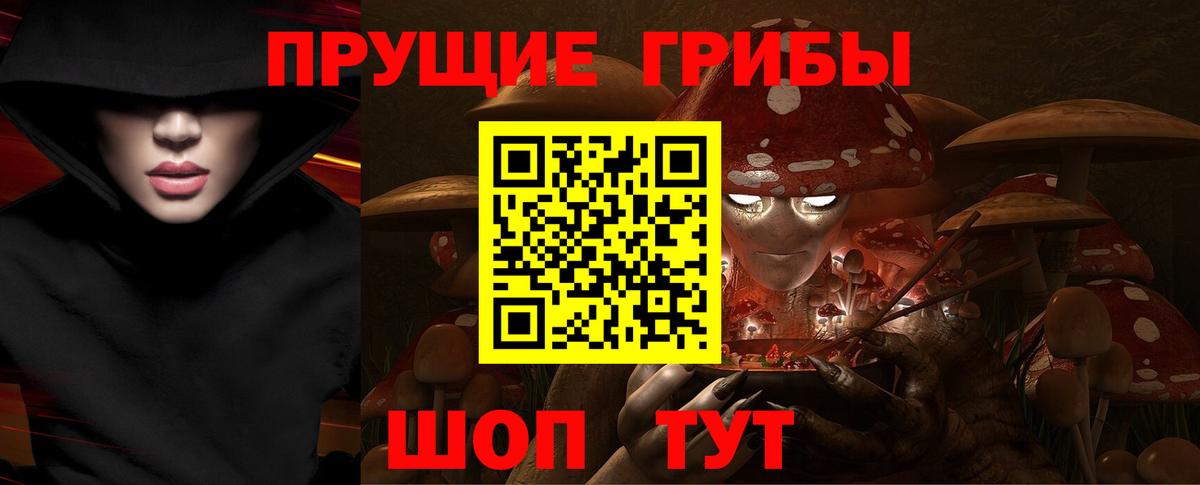 наркота  Псилоцибиновые грибы MAGIC MUSHROOMS  Вход с VPN  Кропоткин  Псилоцибиновые грибы GOLDEN TEACHER 